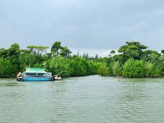 -东寨港红树林旅游区