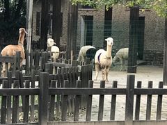 -南昌动物园