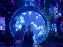 -成都浩海立方海洋公园