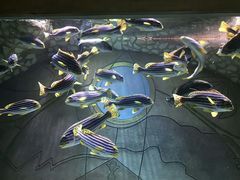 -亚龙湾海底世界