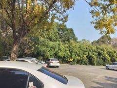 -胜华驾校·小猫学车(银都店)