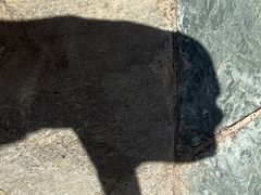 -亚龙湾海底世界