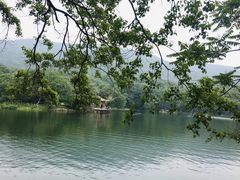 -紫霞湖公园