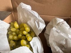 -马陆小张葡萄园农家乐