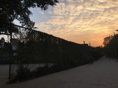 -黄埔古港