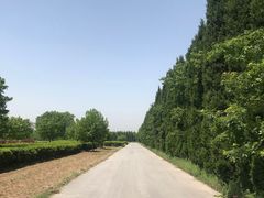 -汉景帝阳陵博物院