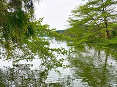 -海珠湖公园