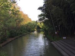 -同里国家湿地公园