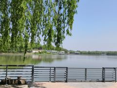 -大兴滨河森林公园