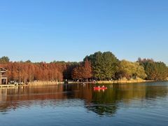 -昆山城市生态森林公园