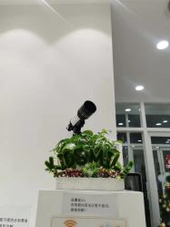 -青苗儿童口腔(长楹天街购物中心)