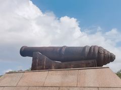 -上海吴淞炮台湾国家湿地公园