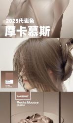 -蚂蚁造型俱乐部