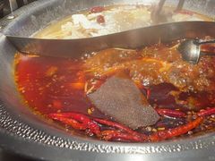 -辣伍鲜毛肚老火锅(元一店)