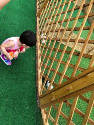 -萌宠亲子动物乐园(槐房万达店)