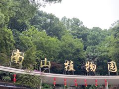 -南山植物园