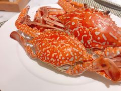 -都会尚膳·海鲜自助餐厅(重庆万豪酒店)