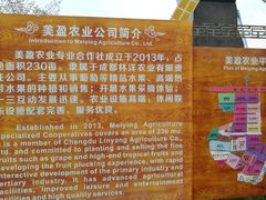 -成都美盈都市现代农业示范园