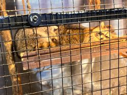 -酷嗒动物文化乐园(cutezoo西溪乐天城店)