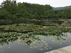 -白马涧龙池景区