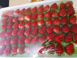 -Oasis Beauty水磨坊科技美肤中心