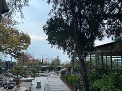 -蘇河湾·新鲁菜·泰山宴(泰山店)