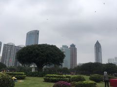 -万绿园
