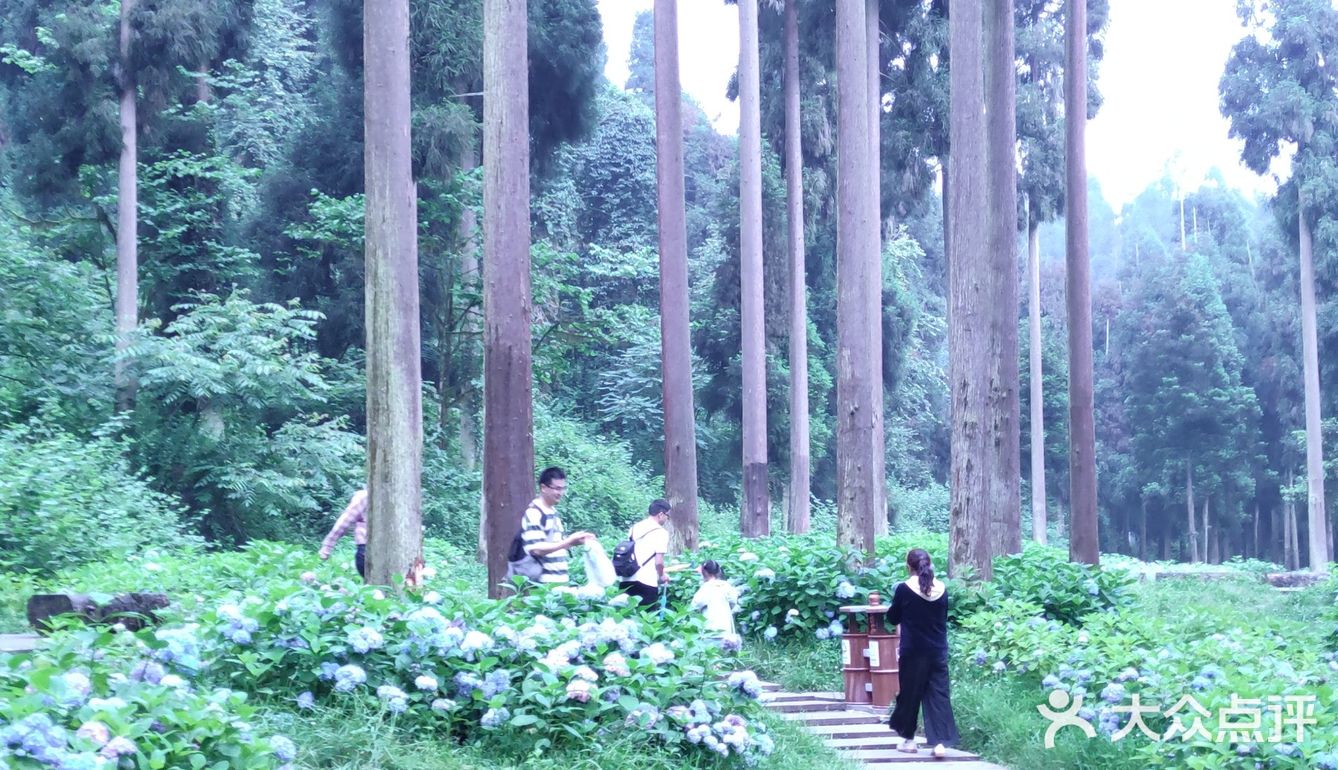 天台山景区