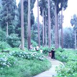天台山景区