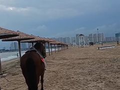 -东戴河风景区-止锚湾