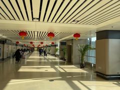 -哈尔滨太平国际机场-T2航站楼