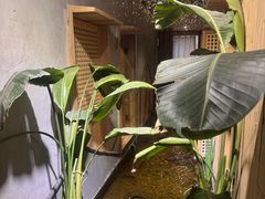 -邈墨茶馆(凤起路店)