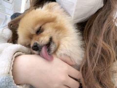 -怪兽屋·羊驼·猫咖·狗咖(俊华广场店)