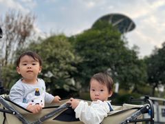 -铁山坪森林公园