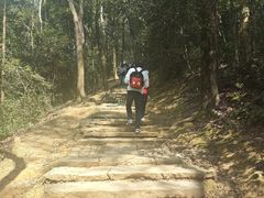 -西湖风景区十里琅珰-五云山