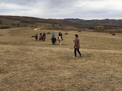 -塞罕坝国家级自然保护区