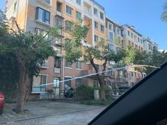 -鲨鱼皮汽车凹陷玻璃修复(静安店)