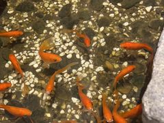 -邈墨茶馆(凤起路店)