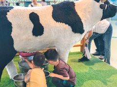-呼和浩特市老牛儿童探索馆