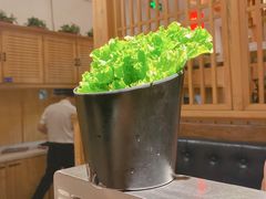 生菜-九田家黑牛烤肉料理(珠江摩尔店)