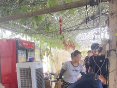 -马陆小张葡萄园农家乐