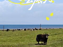 -青海湖国家重点风景名胜区