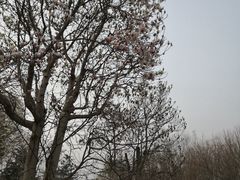 -燕郊植物园