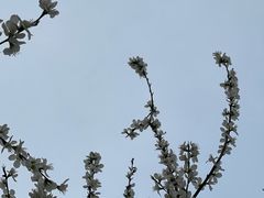 -南开大学(津南校区)