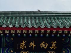 -天津大悲禅院