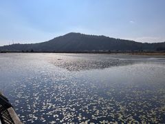 -腾冲北海湿地