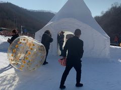 -天女山森林公园