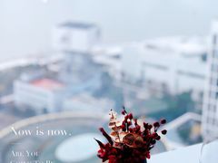 -翡翠36餐厅(浦东香格里拉店)