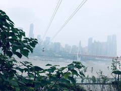 -重庆两江夜游-交运系列