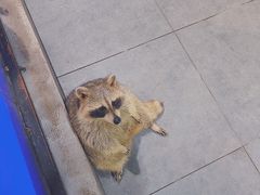 -荆州中山公园动物园